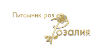 roz SEO раскрутка сайтов ТОП - 10 в Мариуполе | SEOSAN